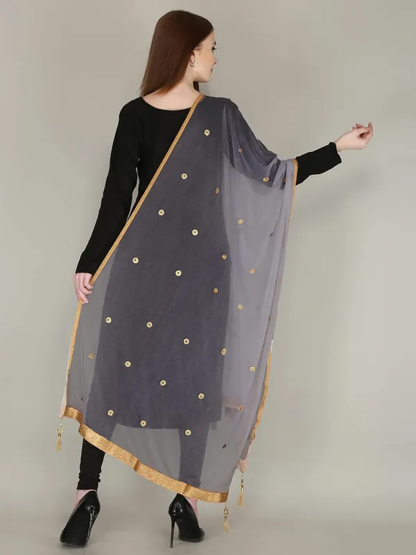 Women_S_Viscose_Net_Dupatta_With_Moti_Lace