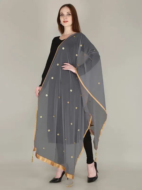 Women_S_Viscose_Net_Dupatta_With_Moti_Lace