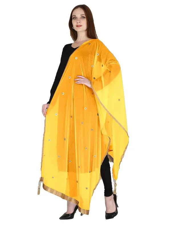 Women_S_Viscose_Net_Dupatta_With_Moti_Lace