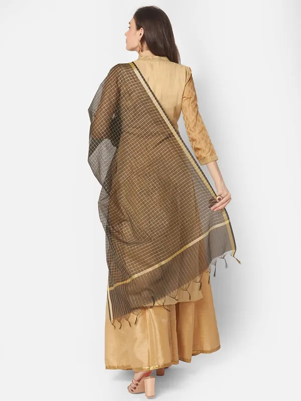 Banarasi_Chanderi_Dupatta