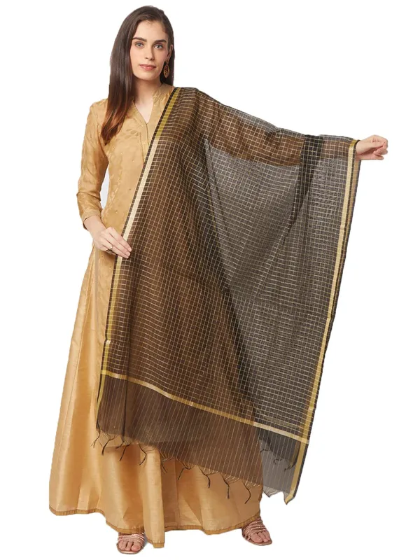 Banarasi_Chanderi_Dupatta