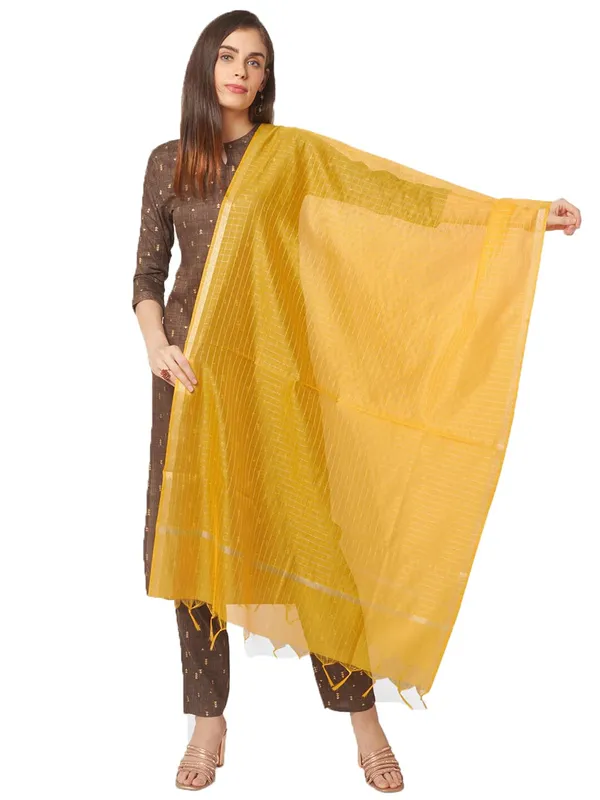 Banarasi_Chanderi_Dupatta
