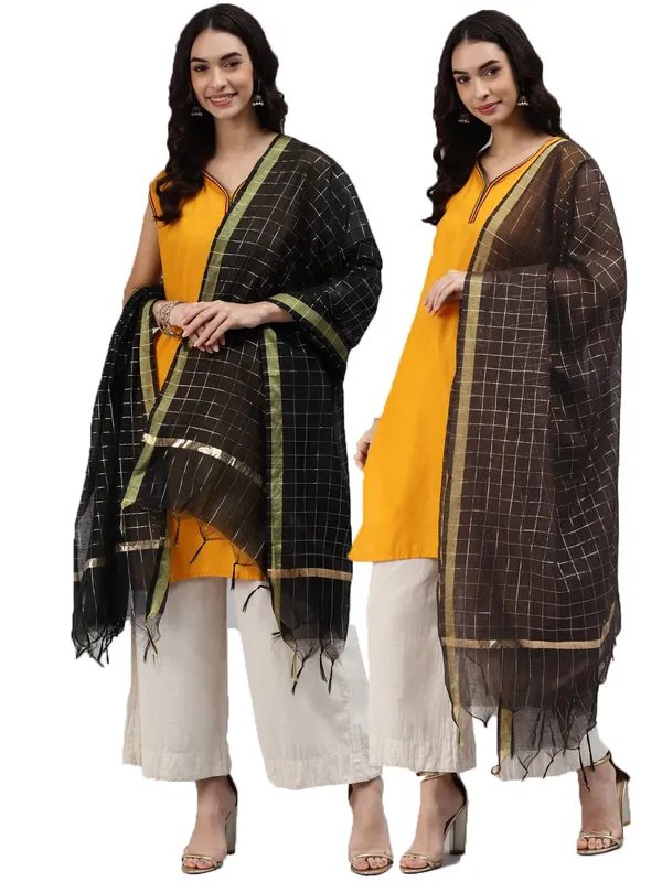 Banarasi_Chanderi_Dupatta