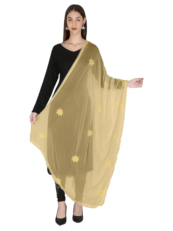 Chiffon_Dupatta_With_Lace