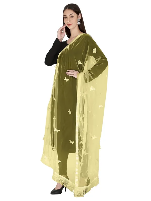 Women_Net_Dupatta_With_Embroidery