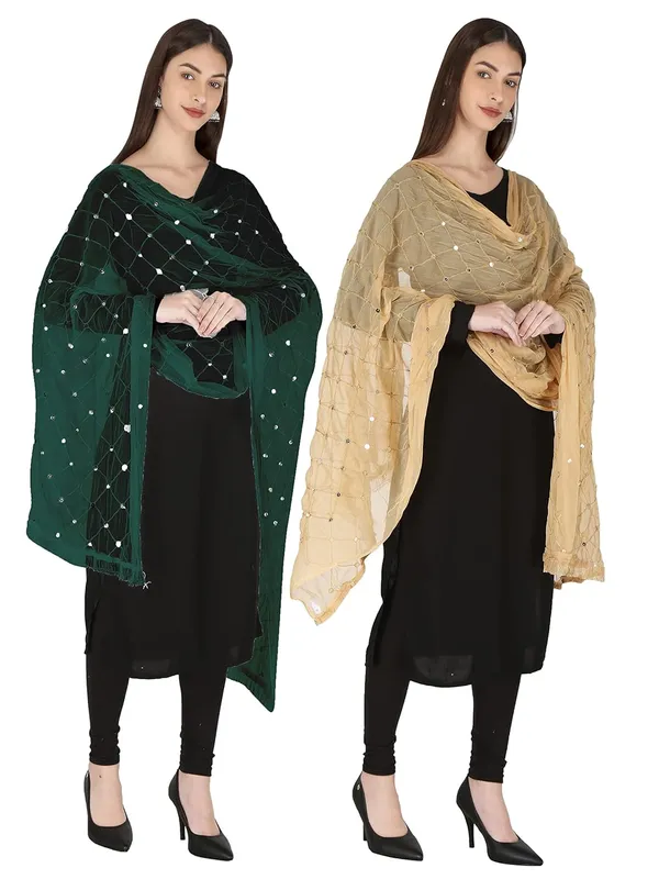Women_S_Embroidered_Chiffon_Dupatta