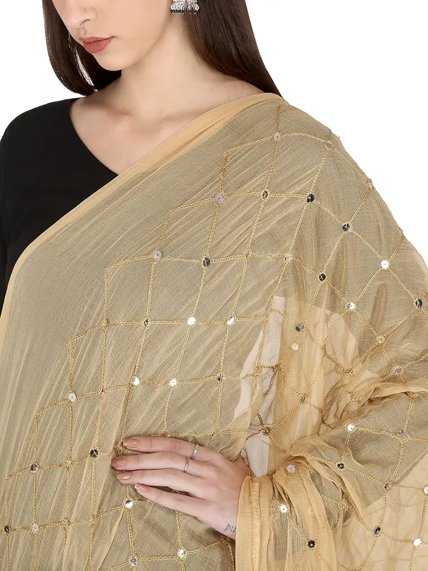 Embroidered_Chiffon_Dupatta