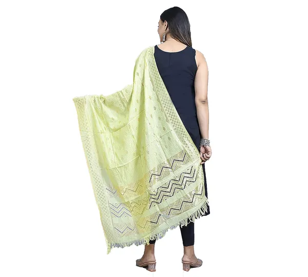 Women_S_Banarasi_Silk_Zari_Dupatta