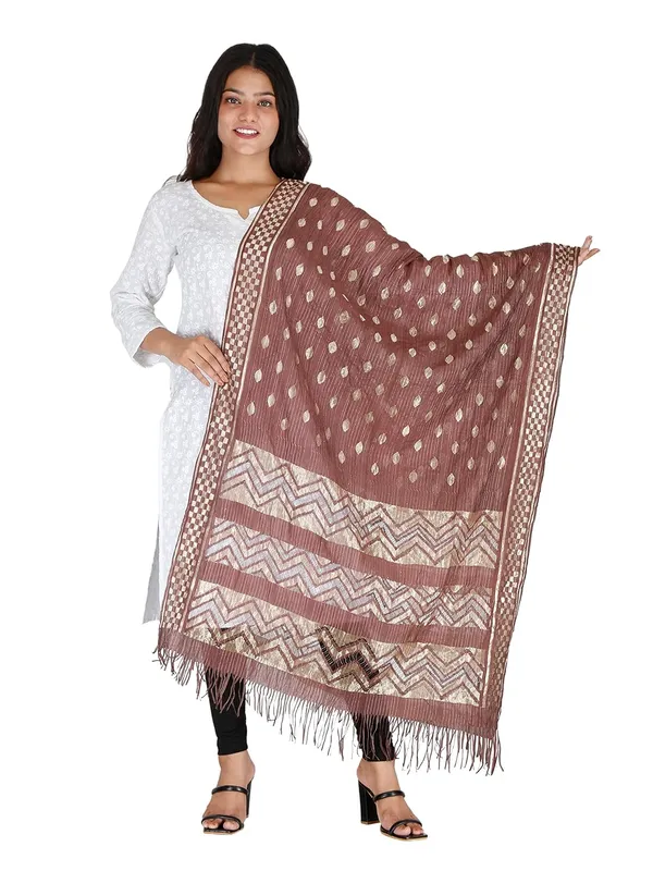 Women_S_Banarasi_Silk_Zari_Dupatta