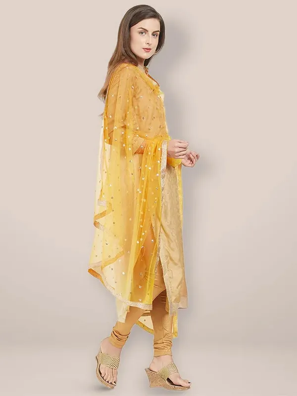 Women_S_Net_Dupatta_With_Embroidery