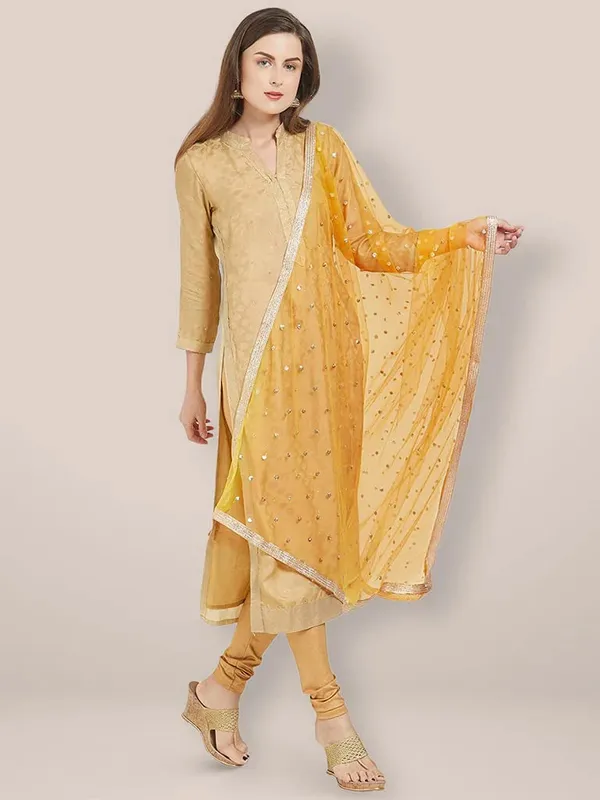 Women_S_Net_Dupatta_With_Embroidery