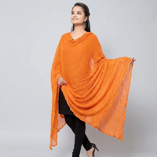 Tissue_Mirror_Work_Dupatta_Stole