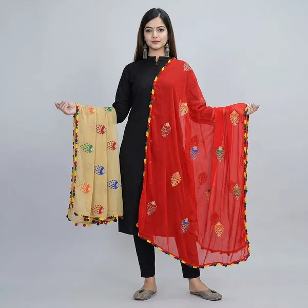 Women_S_Embroidered_Chiffon_Dupatta