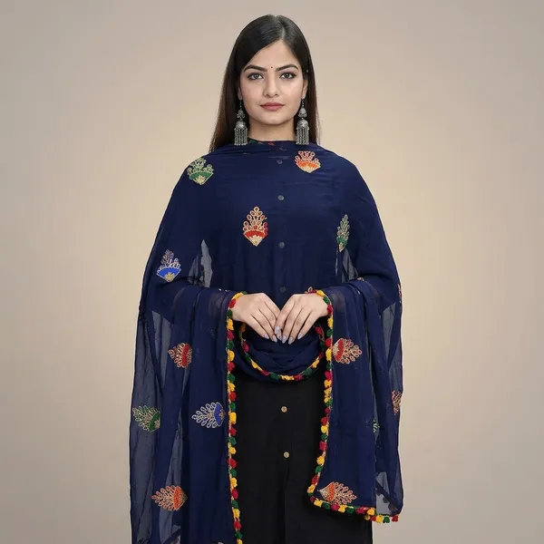 Women_S_Embroidered_Chiffon_Dupatta