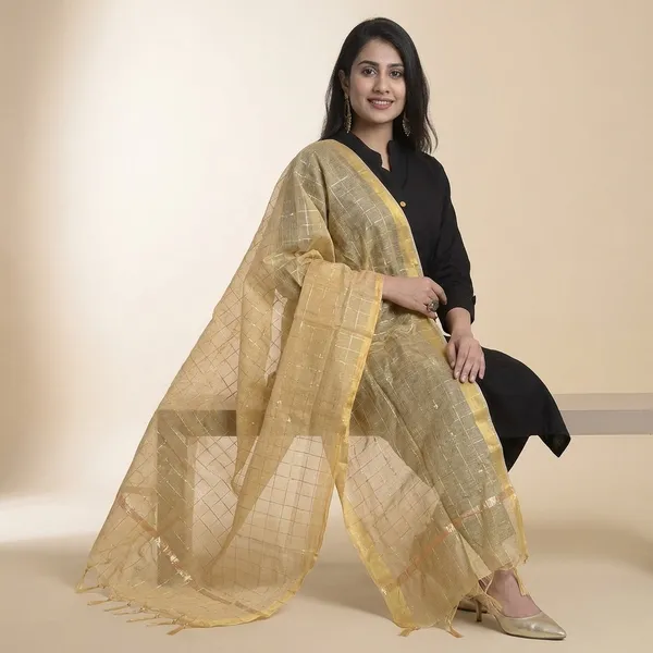 Women_S_Chanderi_Dupatta
