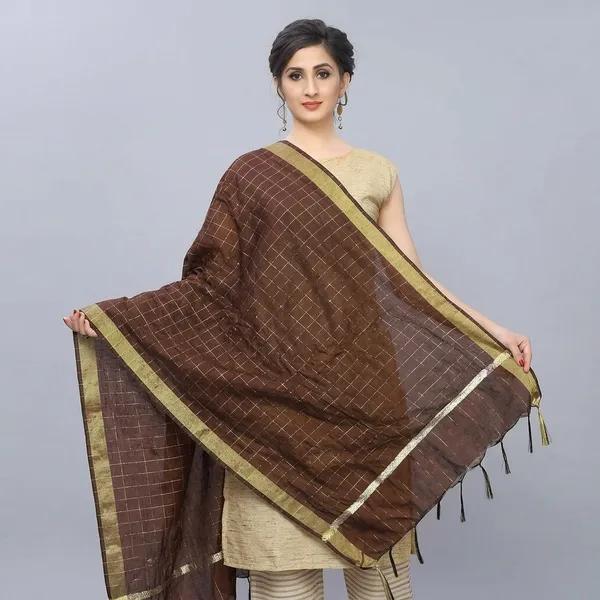 Banarasi_Chanderi_Dupatta