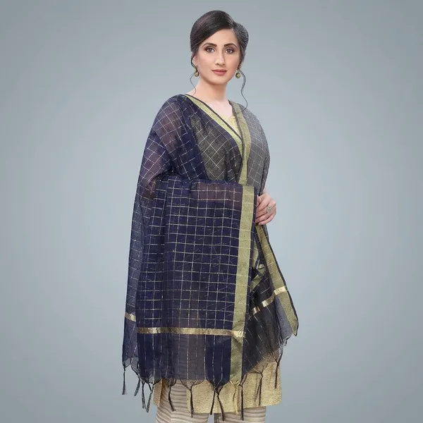 Banarasi_Chanderi_Dupatta