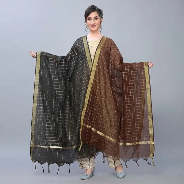 Banarasi_Chanderi_Dupatta