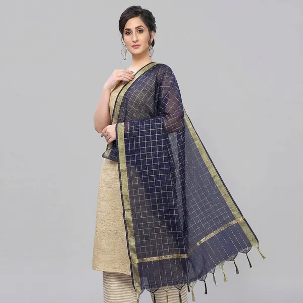 Banarasi_Chanderi_Dupatta