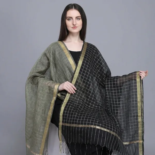 Women_S_Net_Chanderi_Checkered_Dupatta