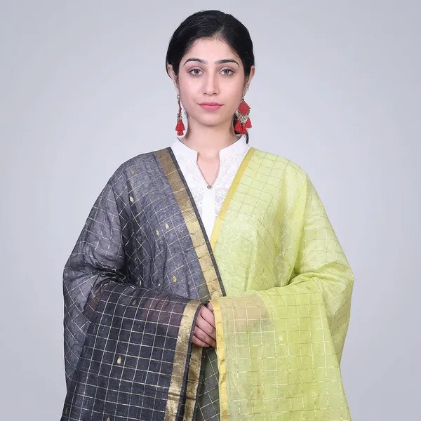 Women_Chanderi_Banarasi_Dupatta