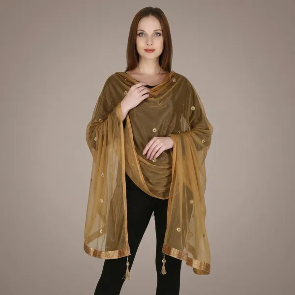 Women_S_Viscose_Net_Dupatta_With_Moti_Lace