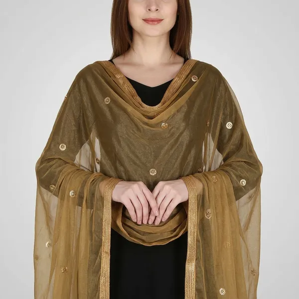 Women_S_Viscose_Net_Dupatta_With_Lace