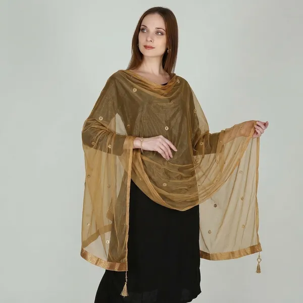 Women_S_Viscose_Net_Dupatta_With_Lace