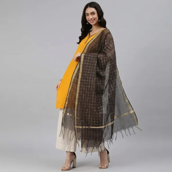 Women_S_Banarasi_Chanderi_Checkered_Dupatta