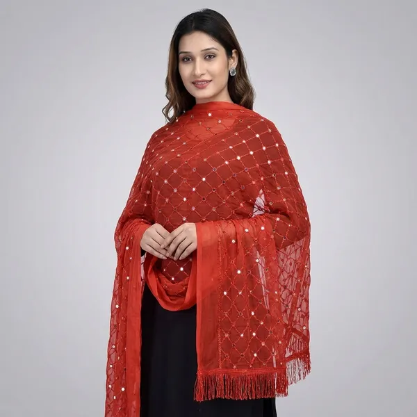 Women_S_Chiffon_Dupatta_With_Lace
