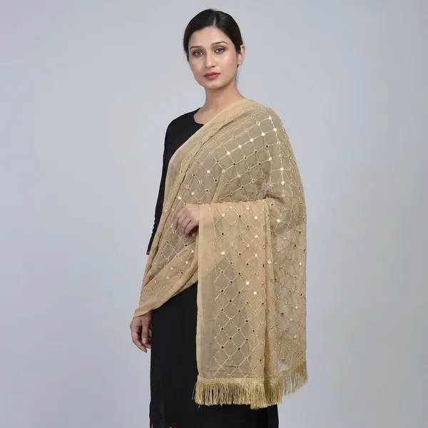 Women_S_Chiffon_Dupatta_With_Lace