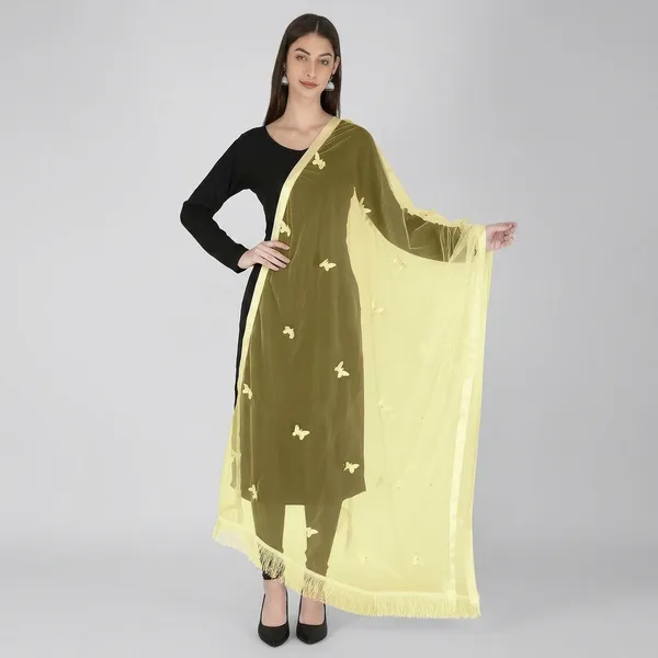 Women_Net_Dupatta_With_Embroidery