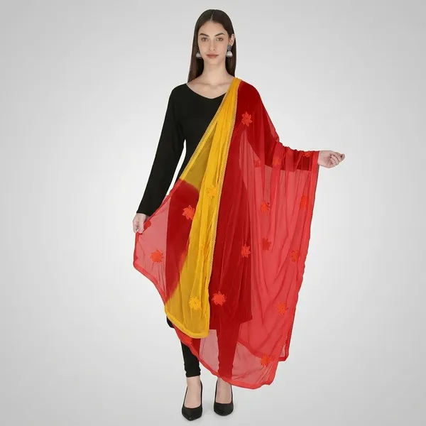 Women_S_Embroidered_Chiffon_Dupatta