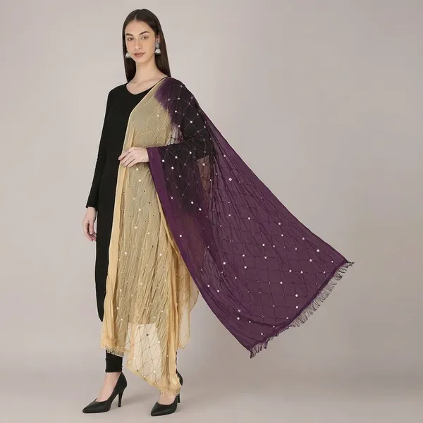 Women_S_Embroidered_Chiffon_Dupatta