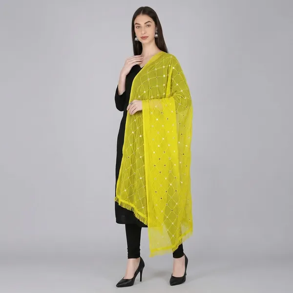Women_S_Embroidered_Chiffon_Dupatta