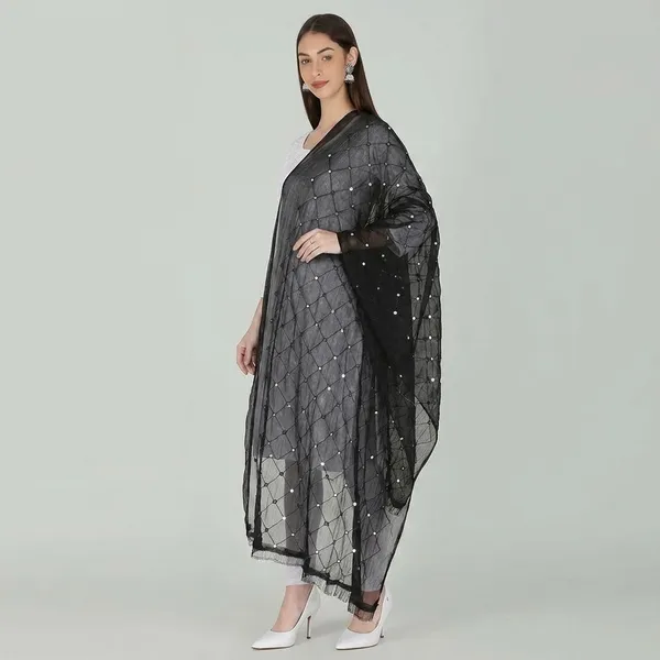 Women_S_Embroidered_Chiffon_Dupatta