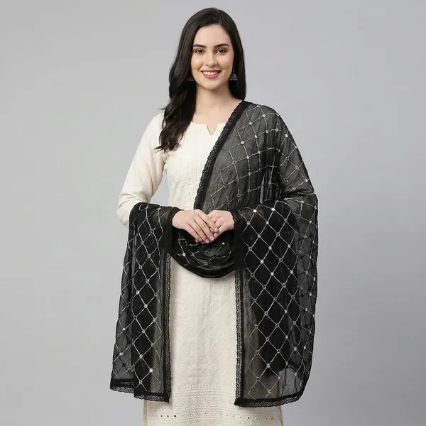 Women_S_Embroidered_Chiffon_Dupatta