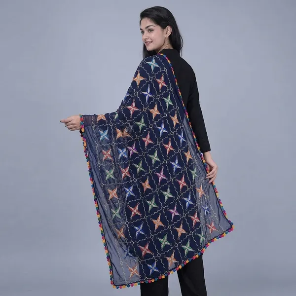 Chiffon_Dupatta_With_Phulkari_Embroidery