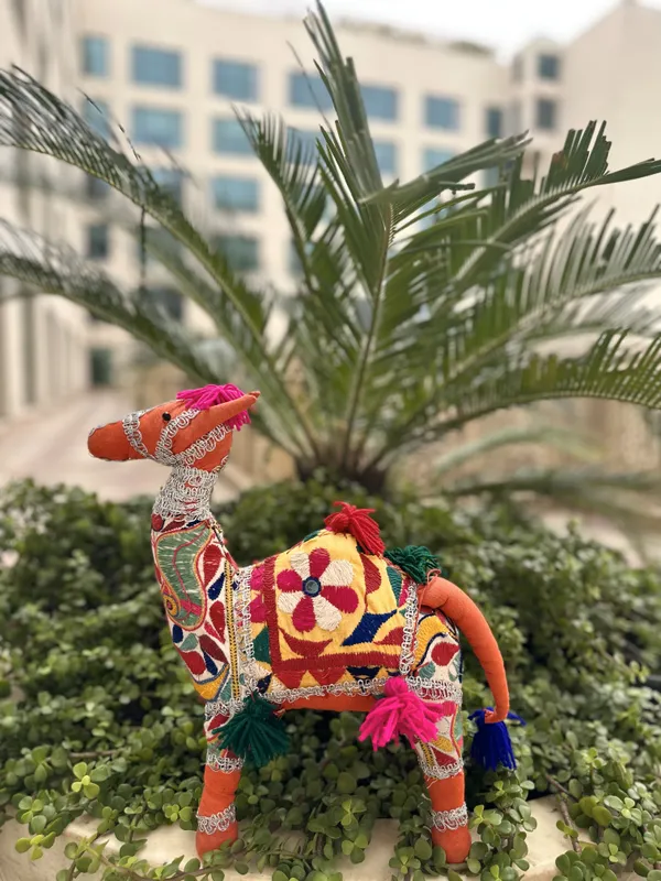 Mewari_Oont
