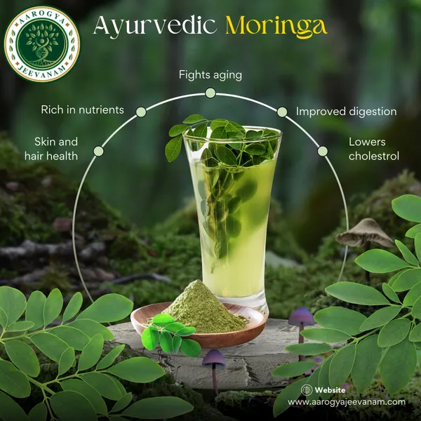 Moringa_Extract_Capsules_|_Boost_Energy_And_Immunity|30_Capsule