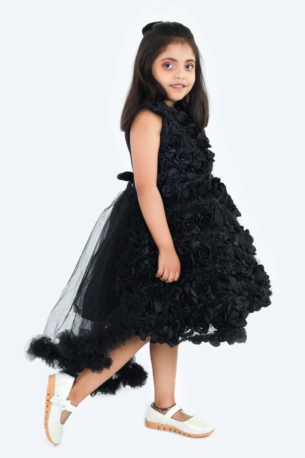 Pariari_Black_Polyester_Sleeveless_Floral_Applique_Party_Dress
