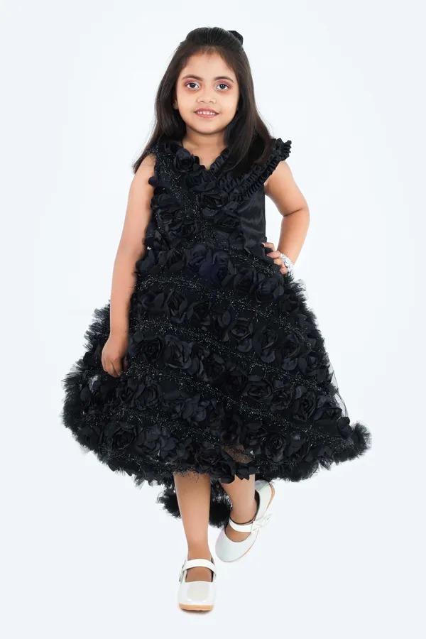 Pariari_Black_Polyester_Sleeveless_Floral_Applique_Party_Dress