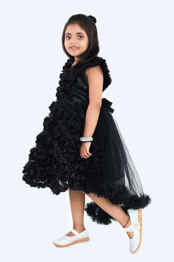 Pariari_Black_Polyester_Sleeveless_Floral_Applique_Party_Dress