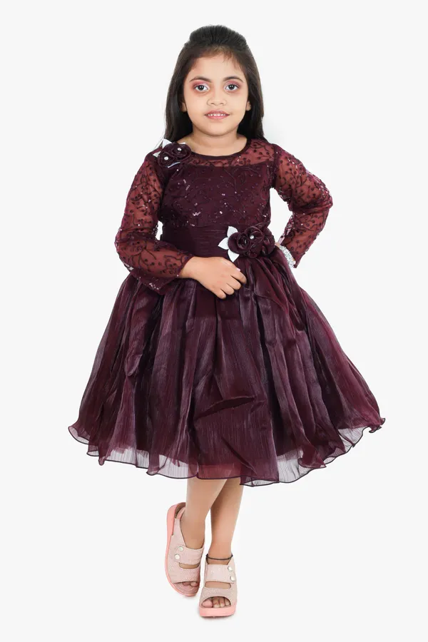 Pariari_Girls_Floral_Applique_Polyester_Party_Dress_With_Long_Sleeves