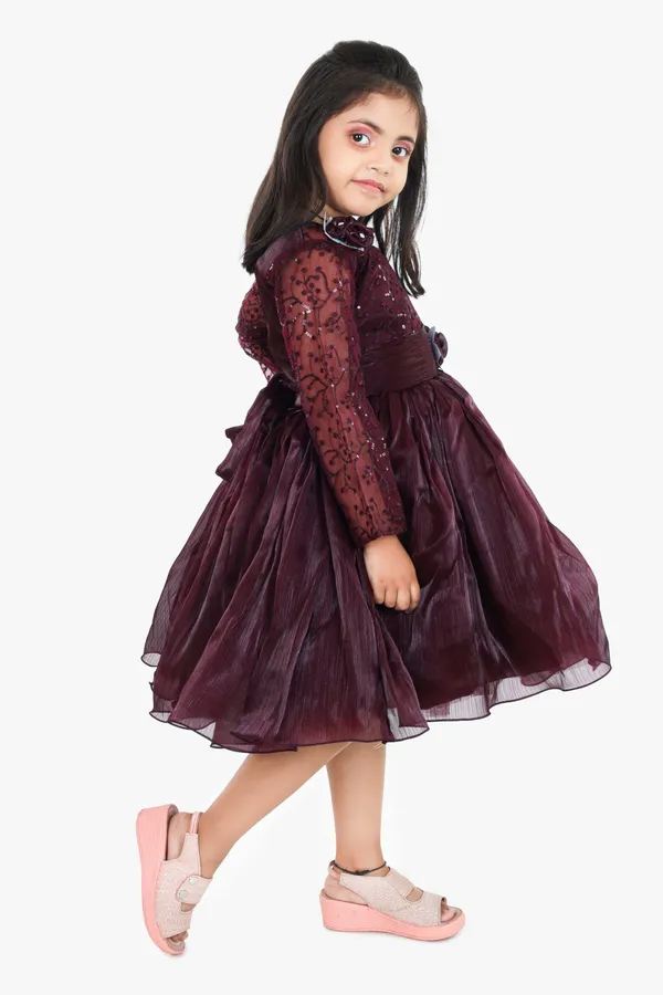 Pariari_Girls_Floral_Applique_Polyester_Party_Dress_With_Long_Sleeves