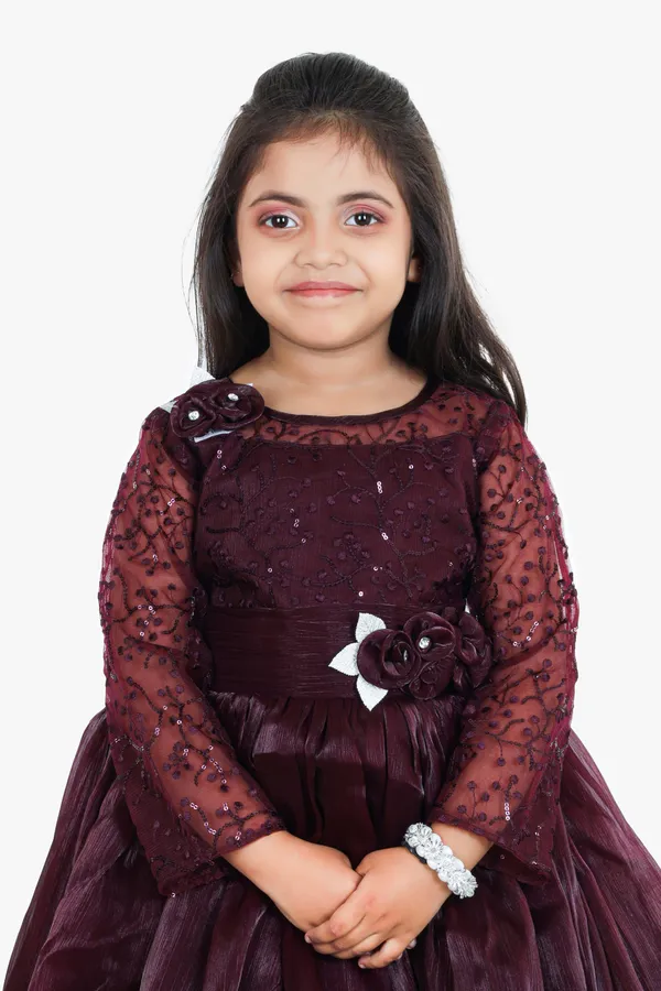Pariari_Girls_Floral_Applique_Polyester_Party_Dress_With_Long_Sleeves