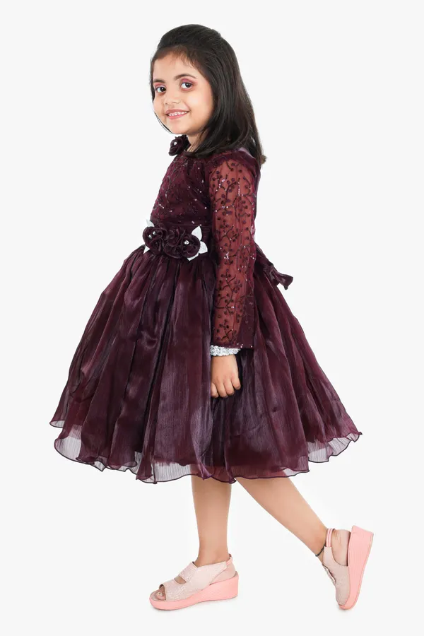 Pariari_Girls_Floral_Applique_Polyester_Party_Dress_With_Long_Sleeves