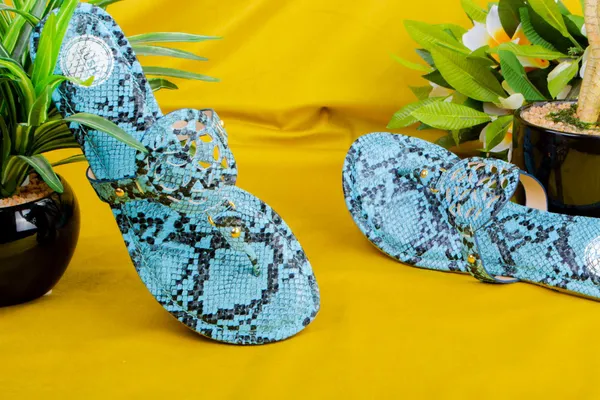 Cora_Blue