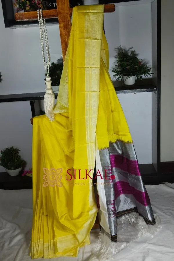Ilkal_Handloom_Viscose_Cotton_Silk_Chikki_Paras_Border_Saree_Saree_Code-_SKL1171