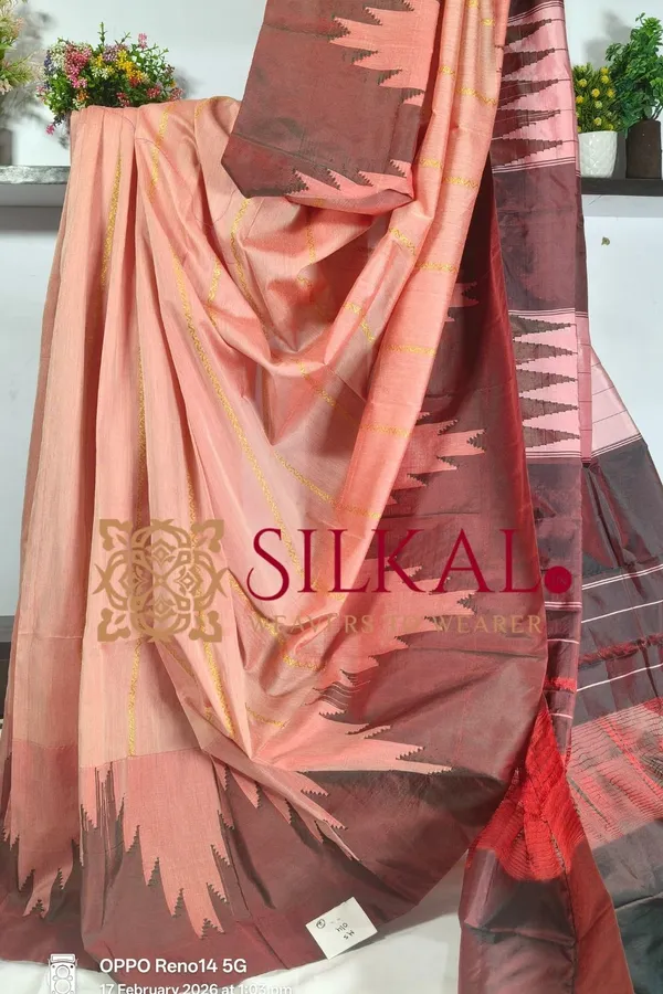 Ilkal_Rudhrakshi_Naryanpeth_Border_Less_Saree__SKL03287